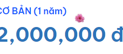 VAZOweb cơ bản (1 năm)