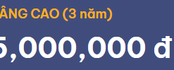 VAZOweb nâng cao (3 năm)