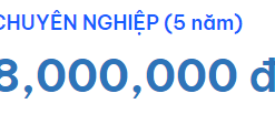 VAZOweb chuyên nghiệp (5 năm)
