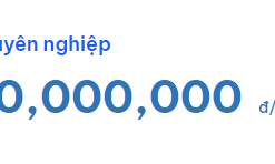 VAZOfeed CHUYÊN NGHIỆP