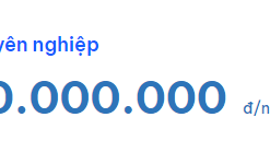 VAZOdata CHUYÊN NGHIỆP